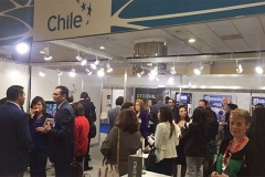 stand-chile