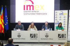 Rosalía-Martos-del-Área-de-Mediación-con-Entidades-Financieras-del-ICO