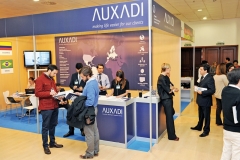 IMEX14_s_auxadi