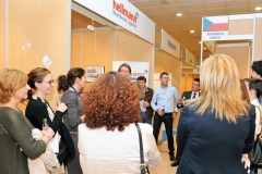 IMEX14_s_hellmann