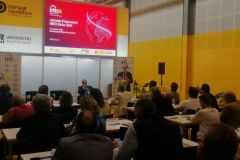 IMEX-Elche-2026