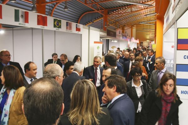 IMEX-Andalucía, el trampolín para las empresas andaluzas que buscan internacionalizarse